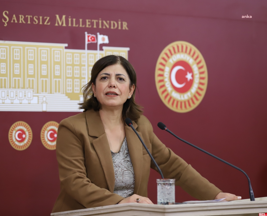 HDP DENKTAŞ EŞ BAŞKAN